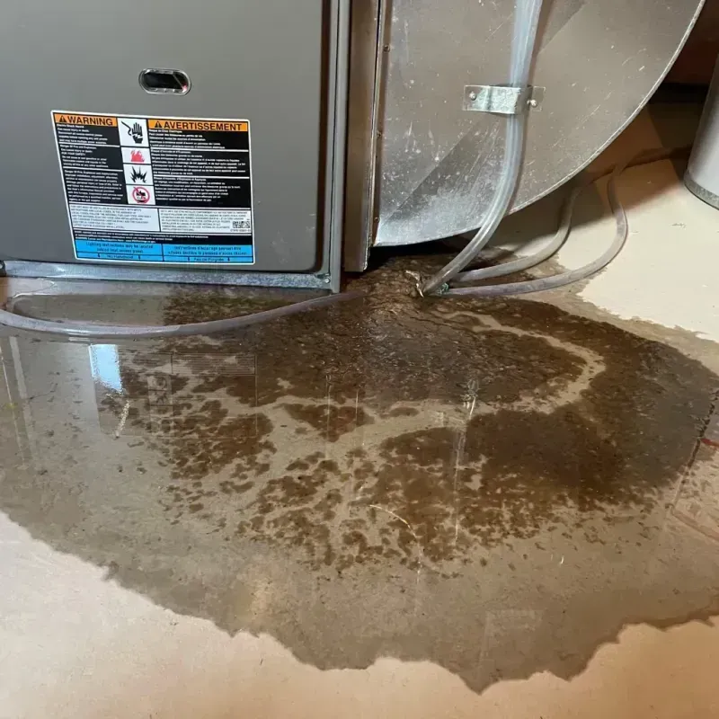 Appliance Leak Cleanup in North Warren, PA